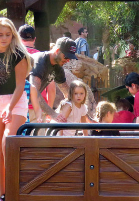 成都大熊貓繁育研究基地再添龍鳳胎大熊貓